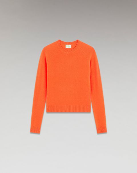 Women From Future Disco Orange Cashmere Sweaters Lightweight Crewneck Sweater ( H23 / Woman / Disco Orange)